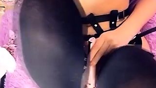 Belle Delphine Anal Plug With Hitachi Cumming For You Video