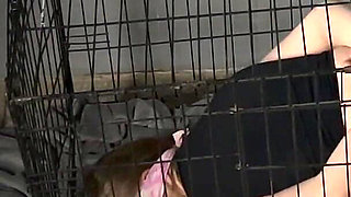 Little Slut Bonded Fucked in a Cage by a Machine Gets a Bowl of Cum to Lick