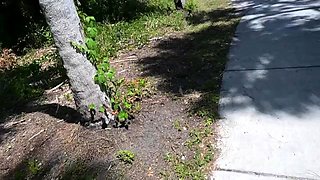 Miss Ellie - Bts Nature Walk And Masturbation On Trail