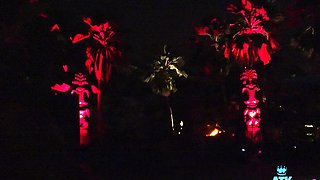 Blonde Amateur Takes Facial Outdoors In Public