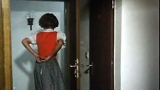 Alm Orgy: Heidis Hardcore-Abenteuer