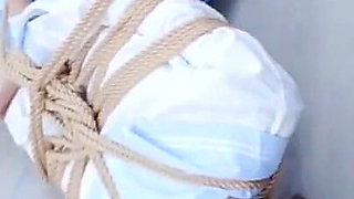 The Scenery Inside the Window Is so Wonderful