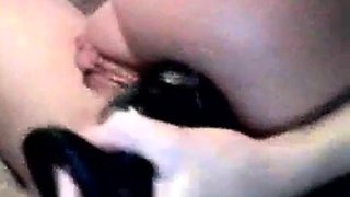 Anal Webcam Fun with a Toy