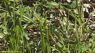 Hairy bush skinny German girl rough big cock outdoor fucked