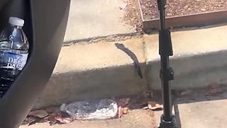 Hot amateur european foot and pantyhose fetish