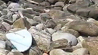 Hot Brunettes in Thong Bikini on the Trail of the Deserted Beach Delicious