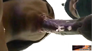 Perfect Lips-mouth Is Amazing!!!