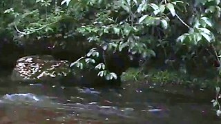 Hmong Amateur Adult Video in a Bikini Outdoors