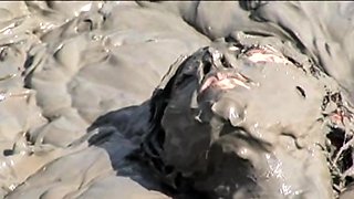 Real amateur couple outdoor ass fuck and anal creampie in hd
