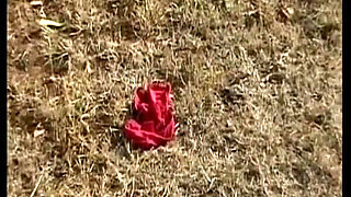 Brunette German Cougar with Naturals Gets Railed in Outdoor Orgy