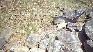 24 Hours of Cock for Naughty Girlies