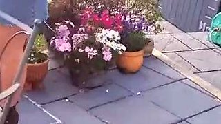 Blackmagicmodel Women Private Party Leads To Rough Sex With