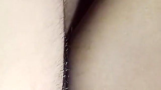 Indian Bengali Pinky Frogs. Enjoy