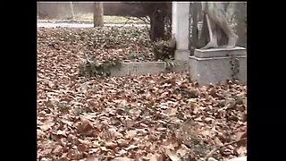 Public Park Fuck with Cock-Hungry Girl in Stockings
