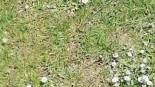 I Convinced My Slut to Show Her Pussy and Tits in a Risky Place