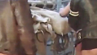 The Razzles - We Are the Power (dvd)