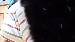 Hot amateur teen butt plug solo play