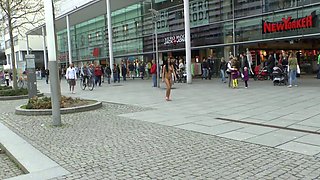 European Brunette Amateur Giving Head In Public