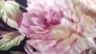 Desi Teen Girl Carrot Masturbation 19
