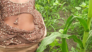 When the brother-in-law's mood was created in the field, he took his sister-in-law to the field and threw her in the open field forest.