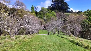 Public Flashing With Lovense Lush