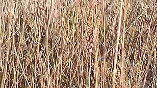 Couple Caught on Camera Having Sex on the Beach