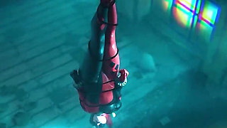 Harley Quinn Sucks and Fucks Batman After Profitable Villainy - Passionate 3D Animation
