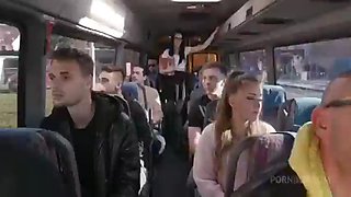 Pussy on the bus