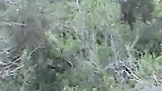 Monica needs thick hard cocks