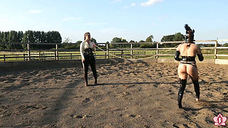 Trotting to Submission