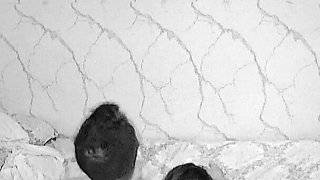 Stepmom Caught on Camera with Stepson Ep7