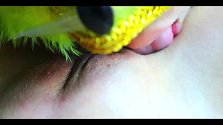 Clip of Licking Nong New's Vagina Until She Squirts New241new