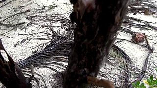 Young couple likes to film all nasty things during their vacation on the beautiful beach