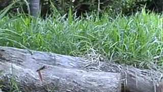 Agatha Mama in a Spectacular Cumshot After Workout