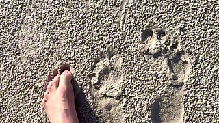 Comparing Size 16 Feet to Sand Prints at the Beach