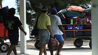 Brunette slut pov blowjob in close up HD