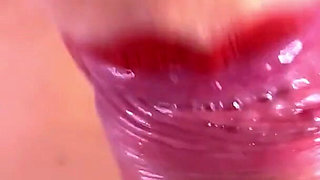 Delicious Kitty Blowjob