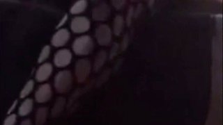 Legs shows