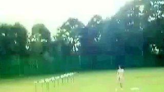 Japanese Sports Enthusiasts Go Wild by snahbrandy