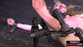 Mouth-Gagged Submissive Babe Spreads for Master in Sensual Play