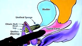 Hot blonde guy pounds petite Asian beauty in hardcore sex