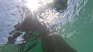 Naughty Blonde Pees in the Ocean Outdoor and Swimming Underwater