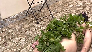 It Stings the Nettles...