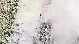 Nerdy amateur asians solo compilation