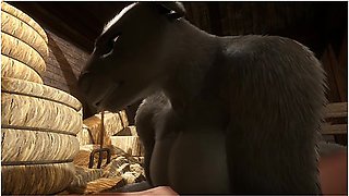 Fun In The Barn ( Wild Life )