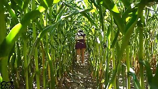 Horny Brunette Gives Blowjob in Cornfield - Outdoor POV Creampie