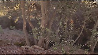 Melissa Mendiny, Melisa Mendiny And Melisa Mendini In Nude Forrest Walk