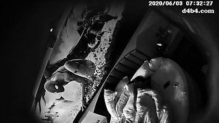 Horny fat arab housewife fingered on amateur hidden cam