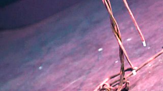 Watch winning Anuskatzz and Lily Lu's dirt