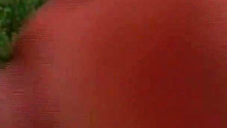 Perfect Day with a Perfect Bitch!!! - (episode #01)